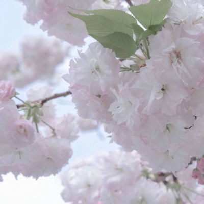 兽设洞穴场景设计福瑞群